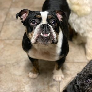 Meet your Posher, Ronald